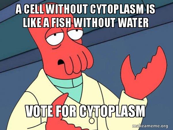 BioCytoplasm's tweet photo. How does anyone expect to beat that. You all would die https://t.co/agyS5AsfOS