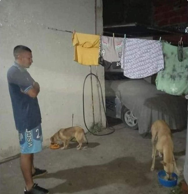 Nadie: 

Yo vigilando a mi perro para que no se coma la comida de mi otro perrito: