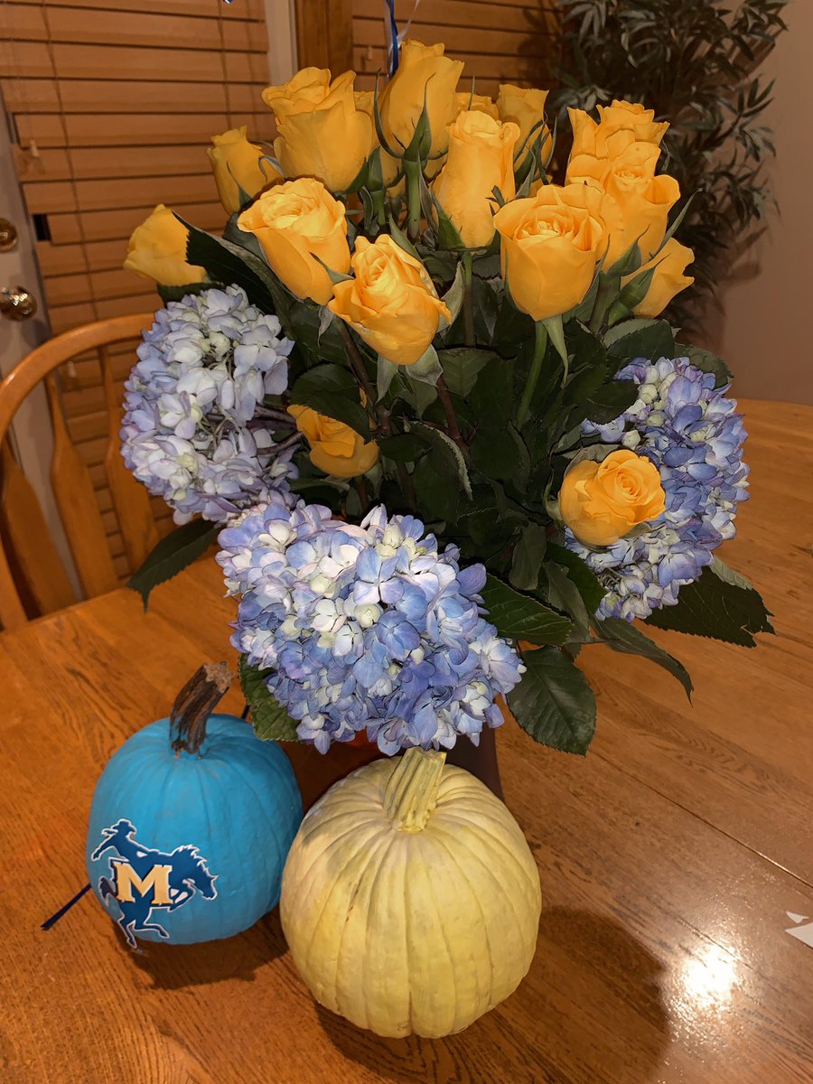 These are too gorgeous not to share! 
My dad brought these home and kid you not MADE. ME. BAWL. 🥺💙#mademyday <a href="/jimboatright2/">jim boatright</a>