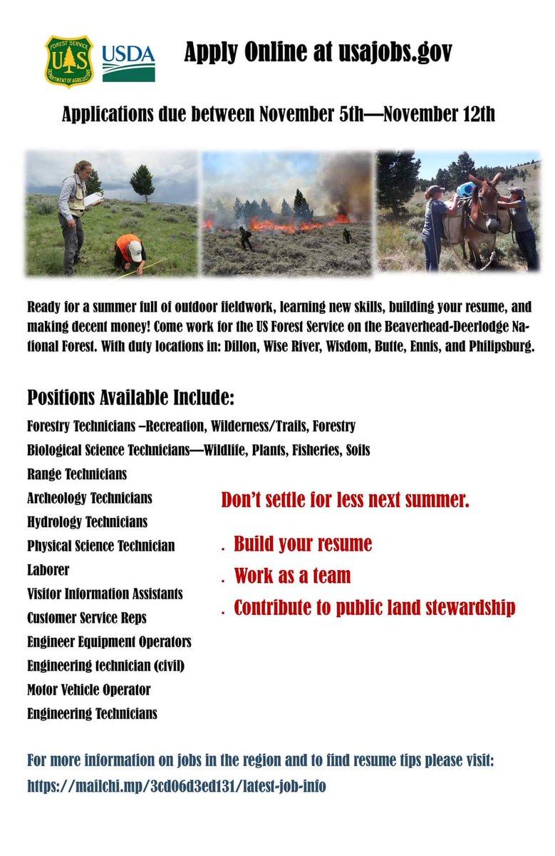 Have you ever considered working for the Forest Service? We are hiring for positions within the B-D (mailchi.mp/3cd06d3ed131/l…). Here, you will find a list of jobs that are currently available as well as some useful tips for applications and resume building.