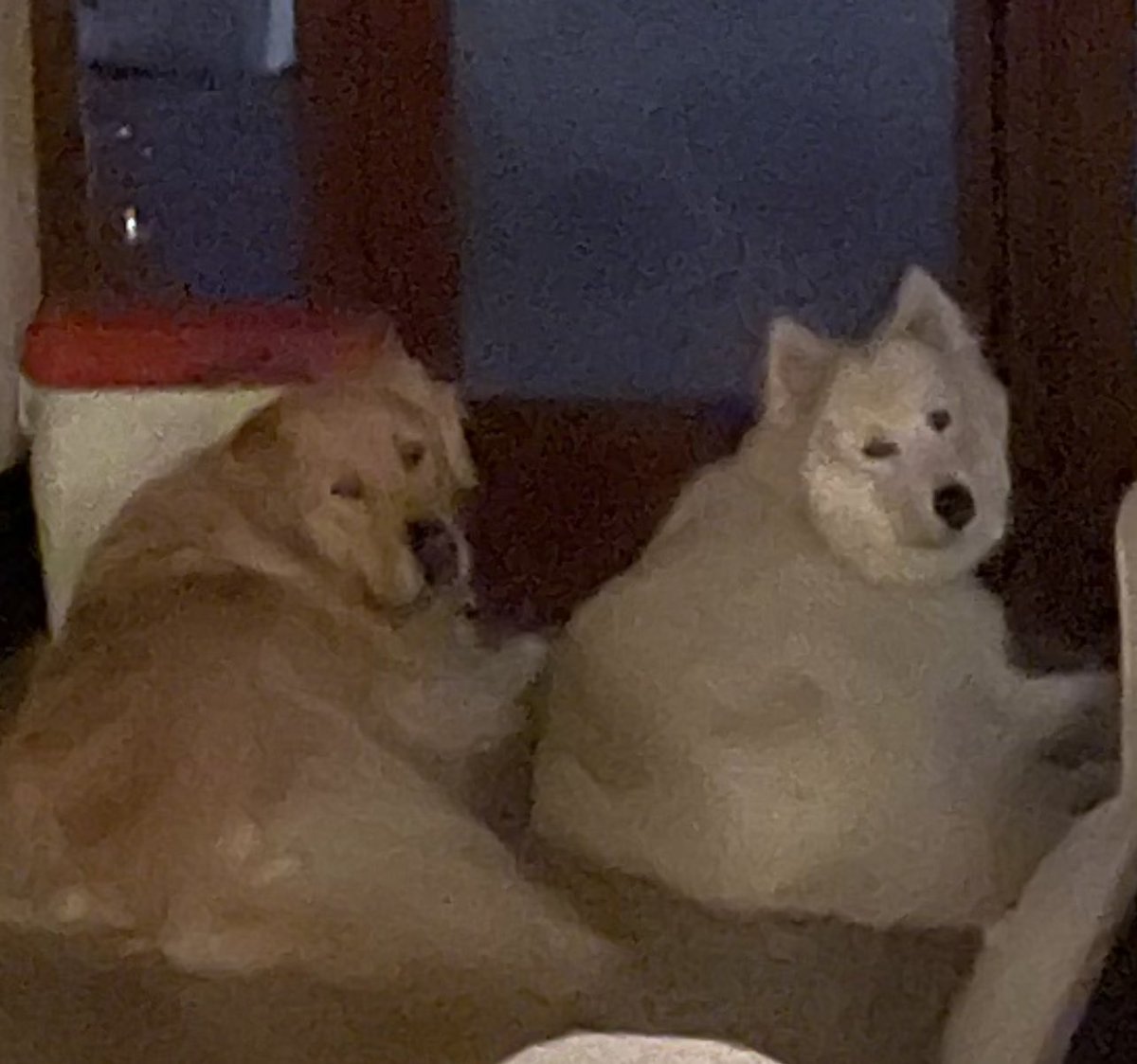 markgeragos's tweet image. Brady &amp;amp; Giglio