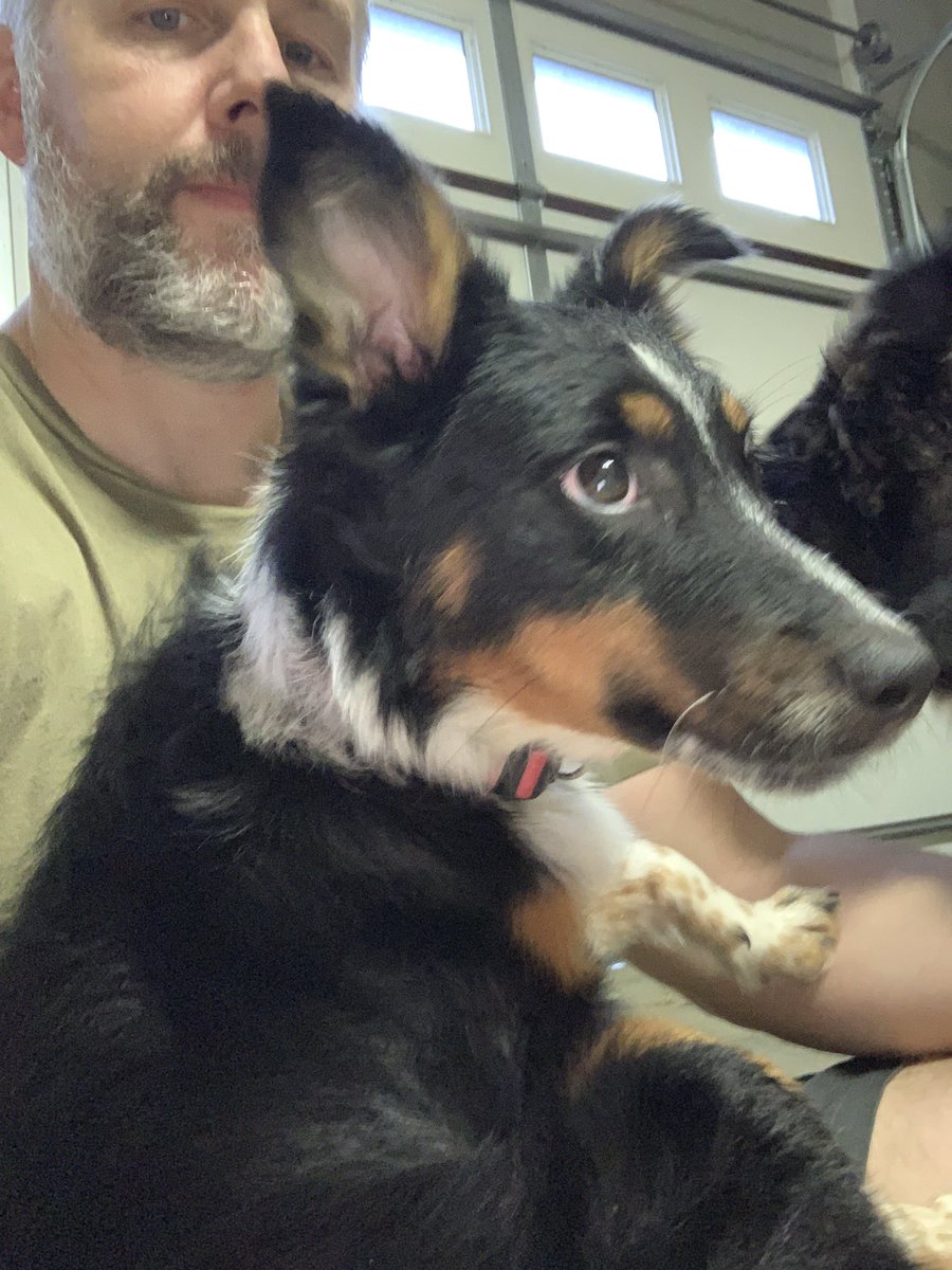 Sometimes people think we’re ‘just a website’ and not real people that care about pet. One of our team members jumped into action again to foster Marlene &amp; Barrett today to help them get their own fur-ever families. 💙🐶