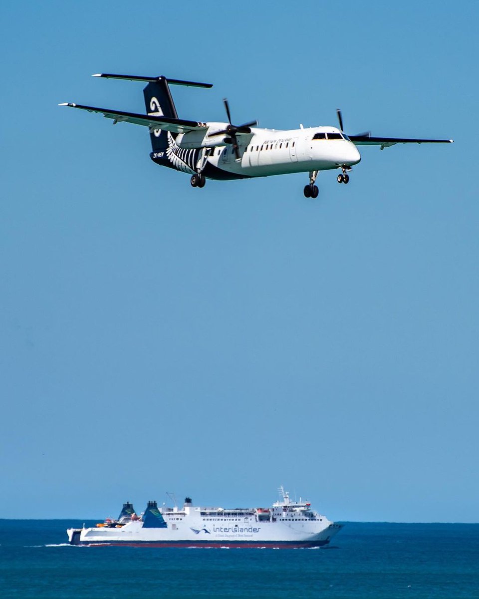 interislander's tweet image. Just a couple of Kiwi icons keeping NZ moving😎🐬🦅 Thanks to Yuvraj for capturing this moment and sharing with us.

📸IG: @xwb.aviation