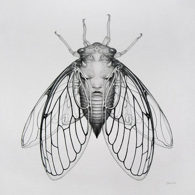 YourArtFriends's tweet image. Our spooky Halloween episode features @Visual_Jamie in our artist shoutout. Check out her haunting and sophisticated graphite work!