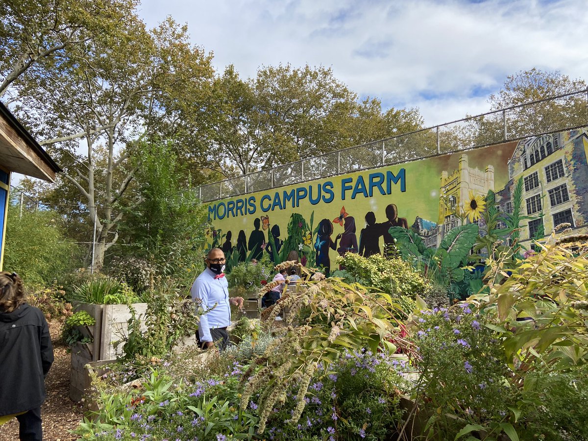 Yuet Chu tweet media