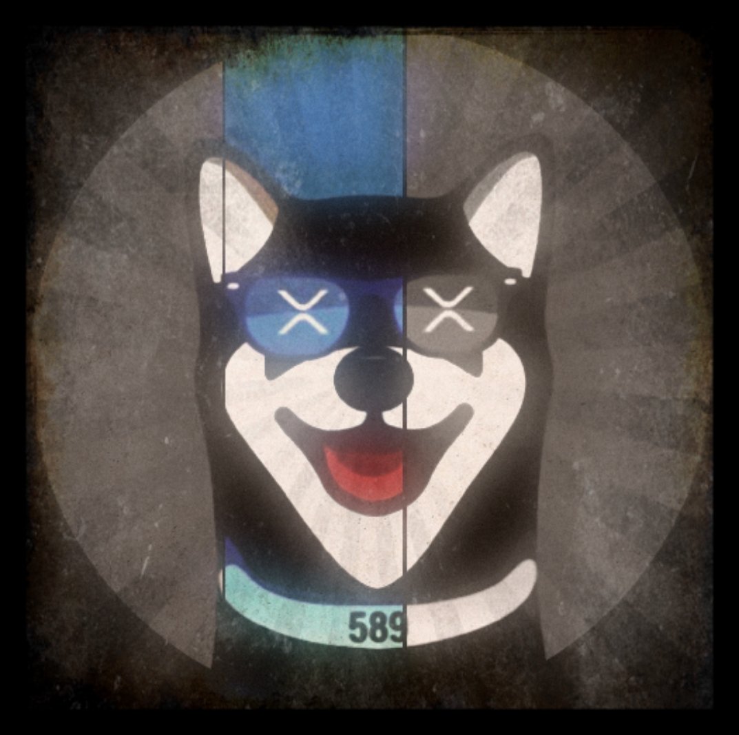 TYOPod's tweet image. My XRDOGE fan art edit. 

@XRdoge

@XRDOGEUSA

@xrdogesl 

@XRdogePH

@JapanXRdoge

!! #XRDOGE #XRPArmy