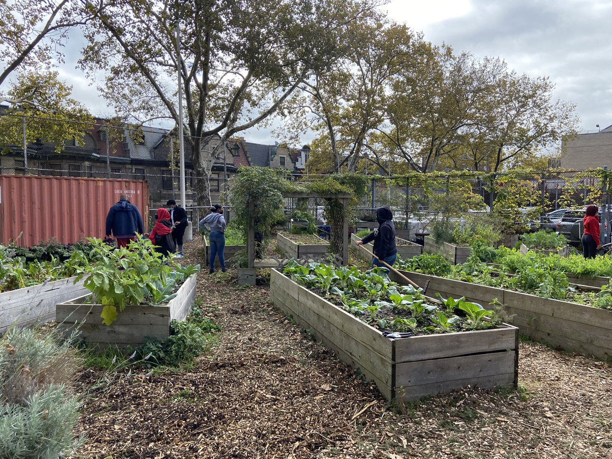 Yuet Chu (@yuetchu_nycdoe) on Twitter photo Urban farming, horticulture and mural art at Bronx International High School! Can you tell which one was the professional and which was made by kids? #thisisACCESS #authenticity #realworld #immigrantsCAN <a href="/bxihs/">Bronx International</a> @ExecSuptLisante @NYCSchoolsHSN12 <a href="/IntlsNetwork/">Intls Network</a> Urban farming, horticulture and mural art at Bronx International High School! Can you tell which one was the professional and which was made by kids? #thisisACCESS #authenticity #realworld #immigrantsCAN <a href="/bxihs/">Bronx International</a> @ExecSuptLisante @NYCSchoolsHSN12 <a href="/IntlsNetwork/">Intls Network</a>