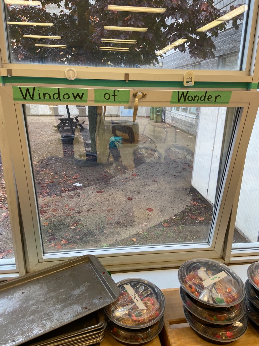 Who knew one could learn so much simply by looking out a window.  Love the conversation this initiates. Great idea <a href="/TDSB_CedarDrive/">Cedar Drive JPS</a> <a href="/tdsb/">Toronto District School Board</a> <a href="/LC3_TDSB/">TDSB LC3</a> <a href="/Zakir4TDSB/">Zakir Patel</a>
