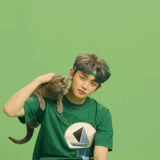 he owns the color green