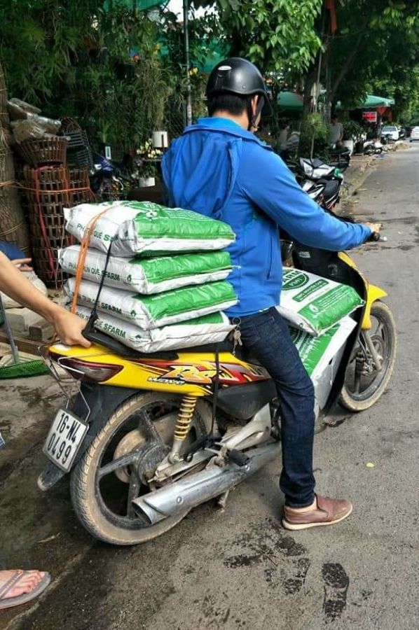 SFarmVN's tweet photo. Phân trùn ưa chuộng nhất tại Nông Dân chính là trùn quế SFARM. Khách nào cũng bảo, bón cho rau tốt quá, rau xanh tươi lắm... 
----------------------------------------
Web: https://t.co/2lR9k17DeZ
Fanpage: SFARM - Nuôi dưỡng vườn xanh
Hotline: 0902 652 099 https://t.co/Y5GyO5OsqV