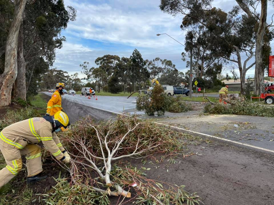 CFA_Updates's tweet image. CFA volunteer firefighters have been out in force in support of @vicsesnews after Victoria was battered by strong winds overnight and into today. #VicStorms 
news.cfa.vic.gov.au/news/volunteer…