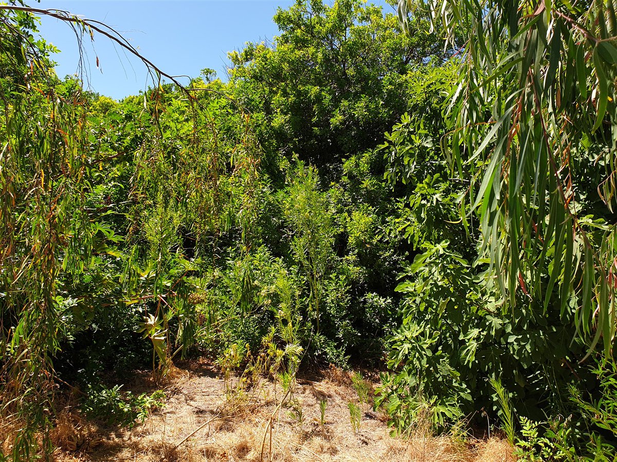 Mike_PHCC tweet media