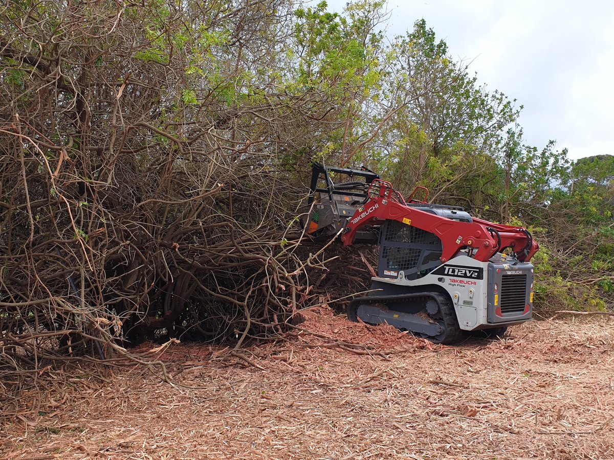 Mike_PHCC tweet media