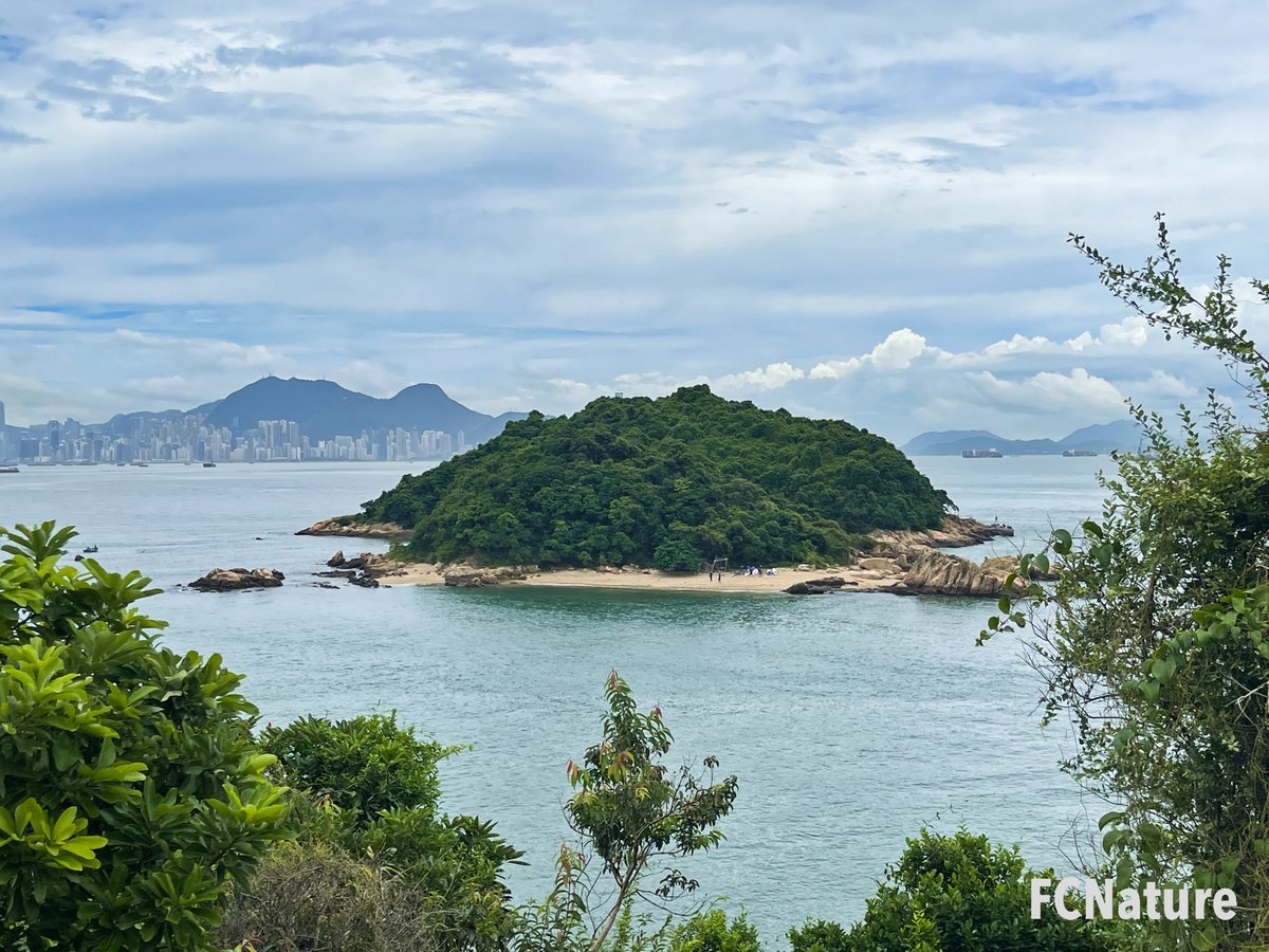 FCNature's tweet photo. Trekking the route from Tsing Ma Bridge, which is the longest road and railroad bridge in the world, towards Ma Wan Park. It seems to be a newly established route.
#大嶺頭
#hiking #trekking #trailing #green #nature #outdooractivities #hikinghk #FCNature #hongkong #hk #香港 https://t.co/PJlBiJaCkZ