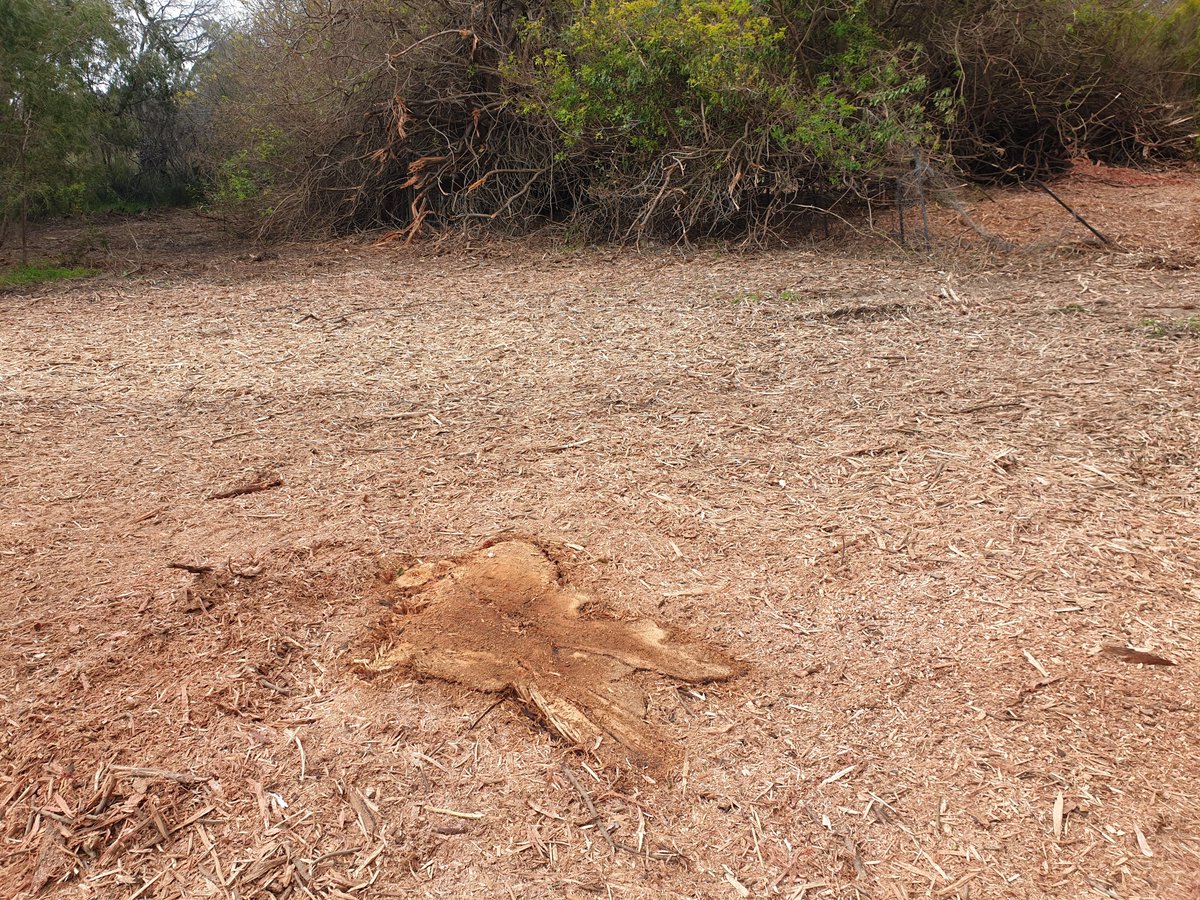 Mike_PHCC tweet media