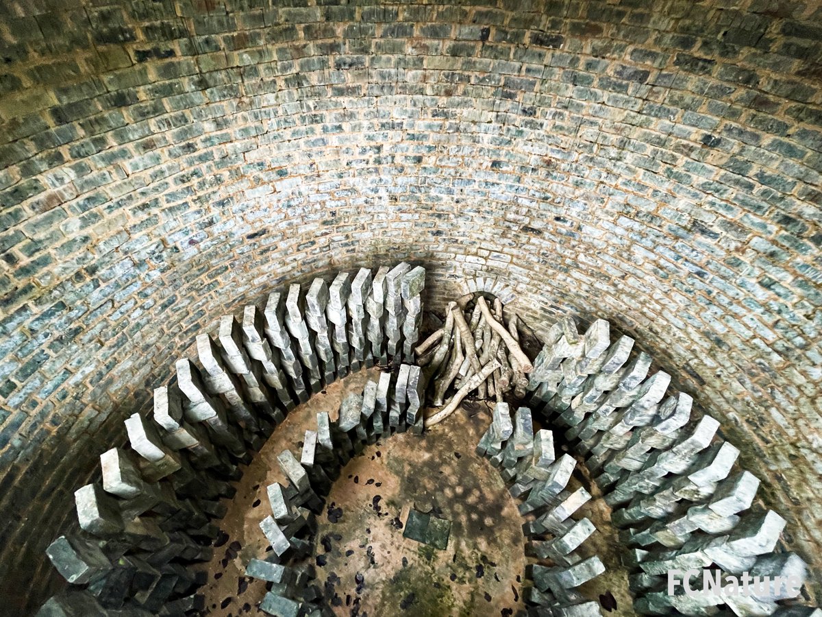 FCNature's tweet photo. Ma Wan was a fishing village with a history of more than 200 years, so its remnants remain. The Brick Kiln is one of the historical tool.
#馬灣古窰
#hiking #trekking #trailing #green #nature #outdooractivities #hikinghk #FCNature #bestoftheday #hikingtrail #hongkong #hk #香港 https://t.co/El4atu4qnt
