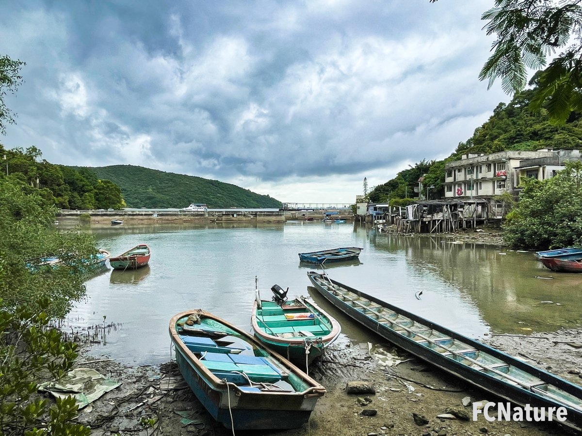 FCNature's tweet photo. Ma Wan was a fishing village with a history of more than 200 years, so its remnants remain. The Brick Kiln is one of the historical tool.
#馬灣古窰
#hiking #trekking #trailing #green #nature #outdooractivities #hikinghk #FCNature #bestoftheday #hikingtrail #hongkong #hk #香港 https://t.co/El4atu4qnt