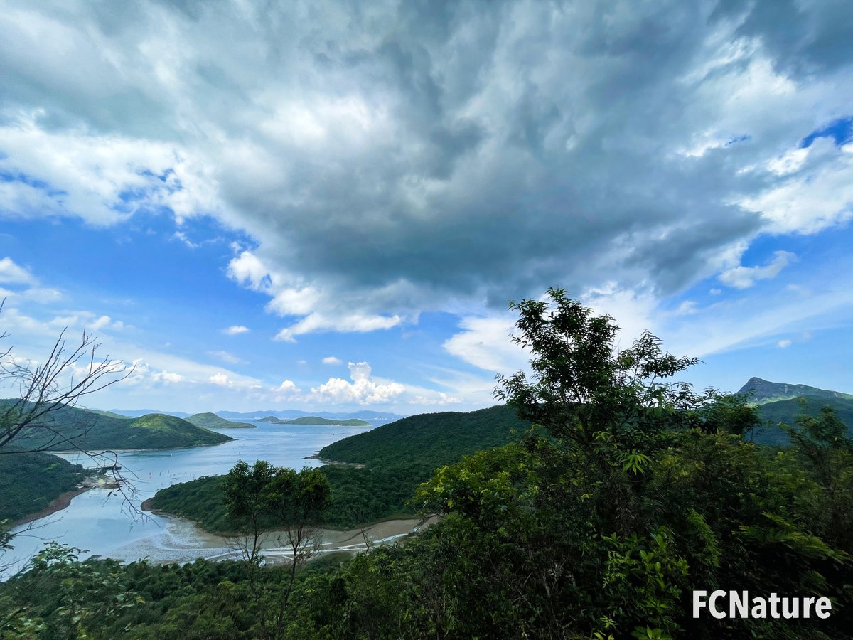 FCNature's tweet photo. #MaWan
#hiking #trekking #trailing #green #nature #FCNature #FCNaturecommunity #FCNaturesports #outdooractivities #hikinghk #hikingadventures
#hikingday #hikingtrail #hikingculture #sports #natureinthecity #explore #photo
#FCNature #hongkong #hk #香港 https://t.co/IOYiGPSJ2d