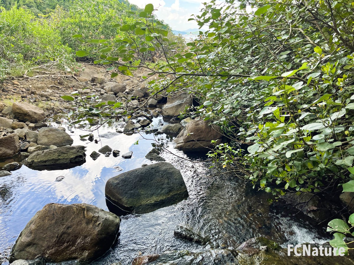 FCNature's tweet photo. #MaWan
#hiking #trekking #trailing #green #nature #FCNature #FCNaturecommunity #FCNaturesports #outdooractivities #hikinghk #hikingadventures
#hikingday #hikingtrail #hikingculture #sports #natureinthecity #explore #photo
#FCNature #hongkong #hk #香港 https://t.co/IOYiGPSJ2d
