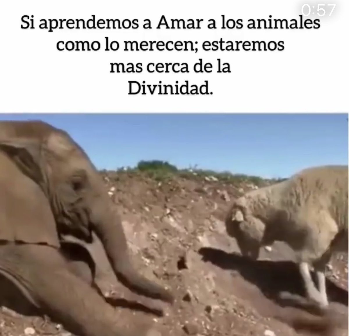 Sololuz5's tweet photo. ASÍ ES ! https://t.co/OpnFGM3MAu