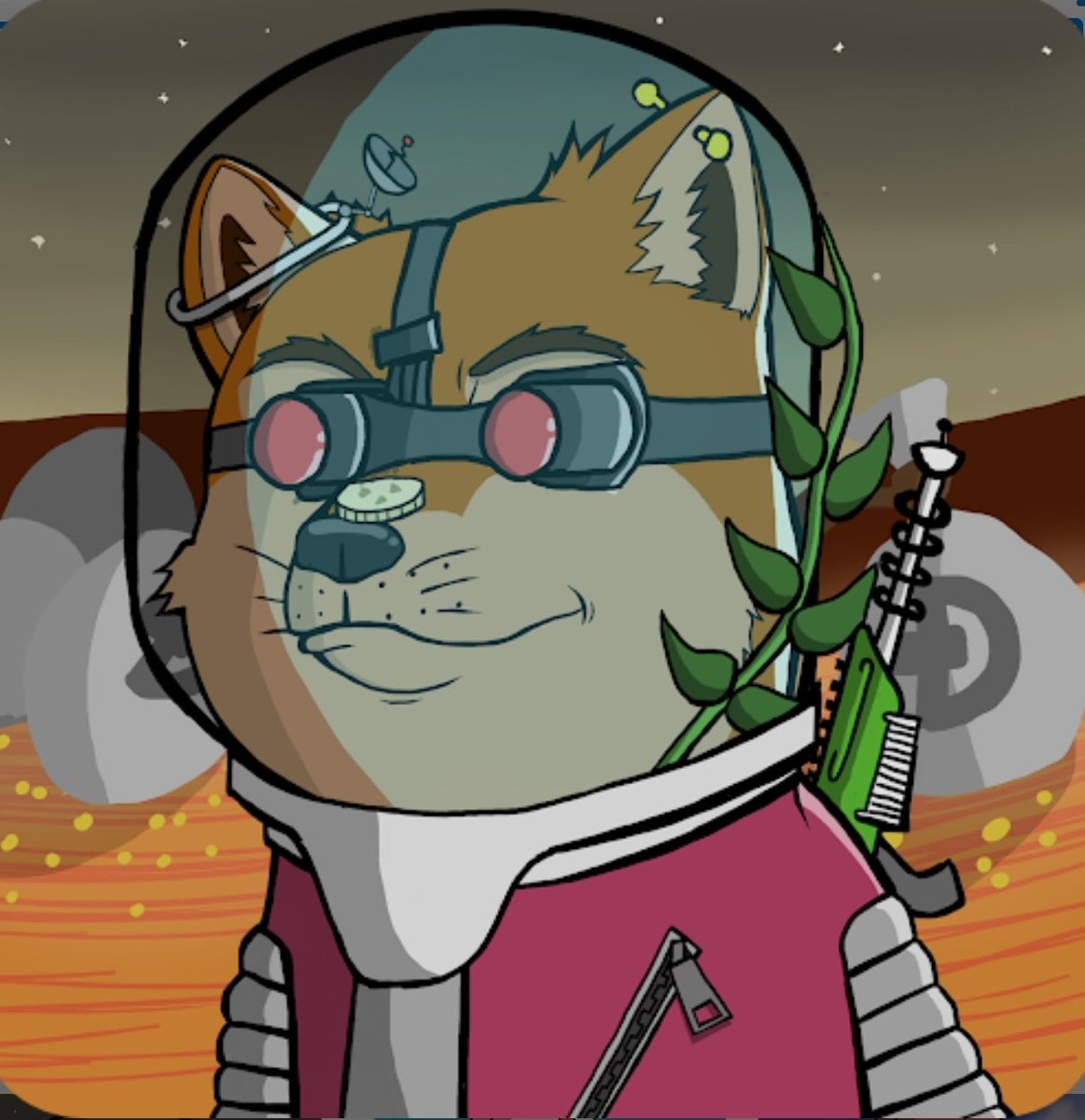 YshJQ78's tweet photo. @BossNFTPromoter Hey boss come visit "the official dogex" nft world, minted out, metaverse/dating app/game cookies on the roadmap. Do only good everyday #DOGEX @DogeX2021 https://t.co/QSzvJ30HfS