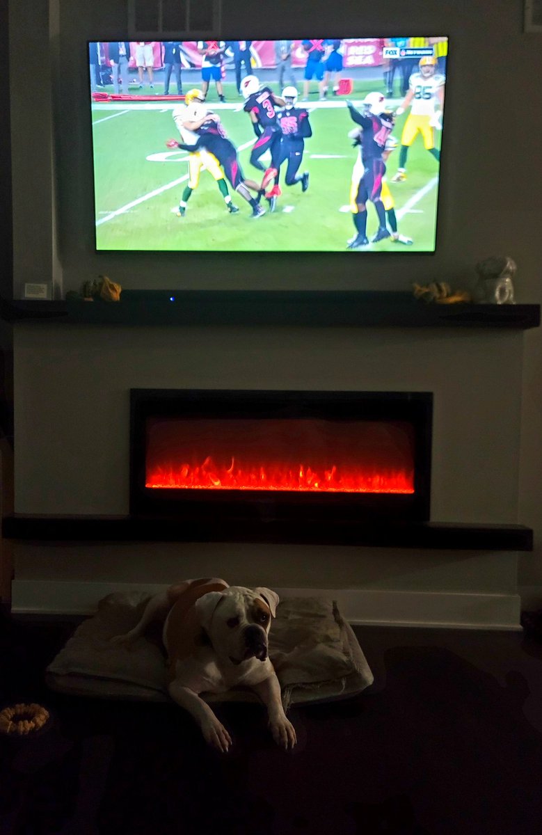ethan_andersen1's tweet photo. @Coach___Wheels Same same. Phat dog and all😁 https://t.co/QTd6G2j9C1