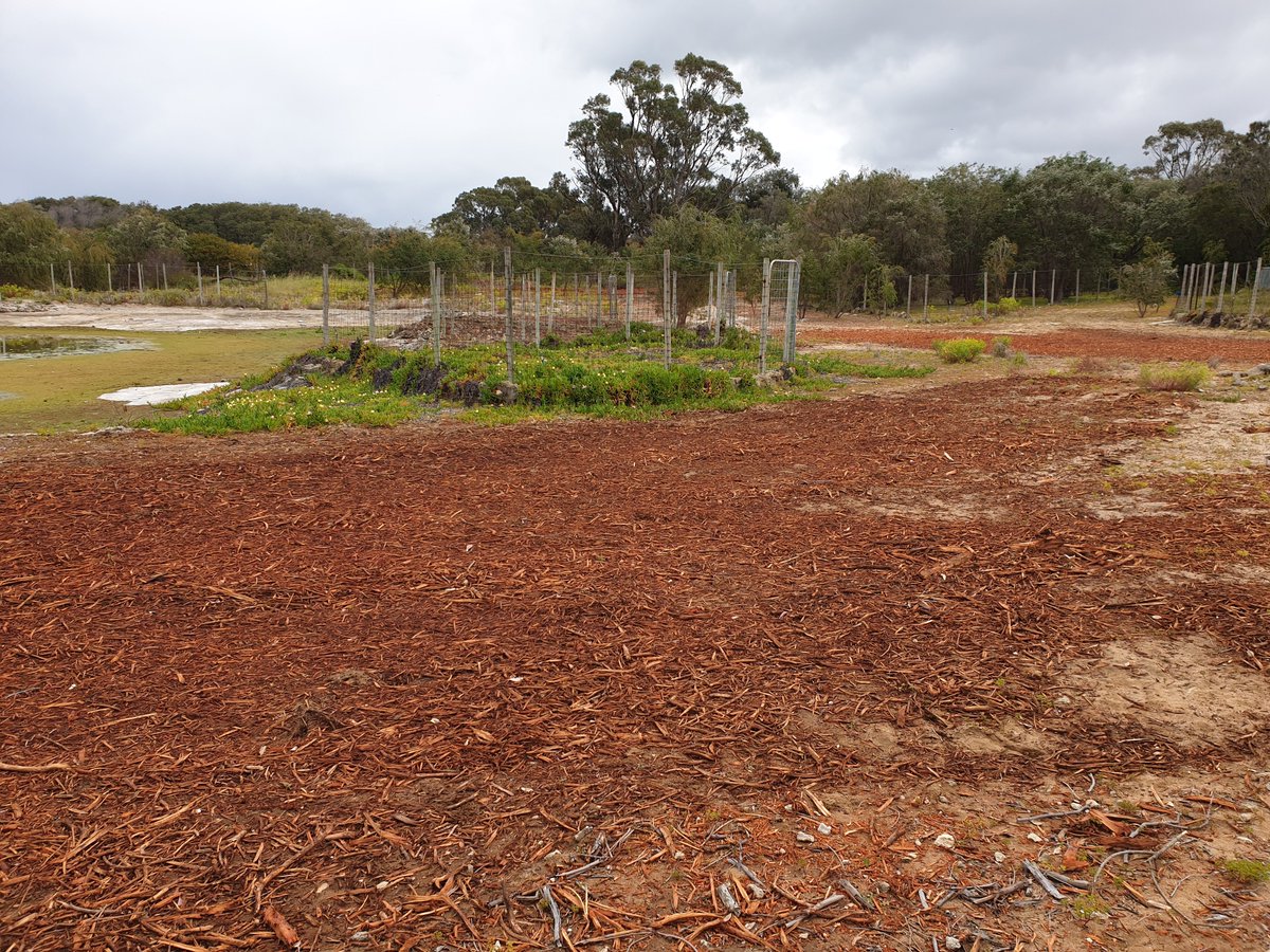 Mike_PHCC tweet media