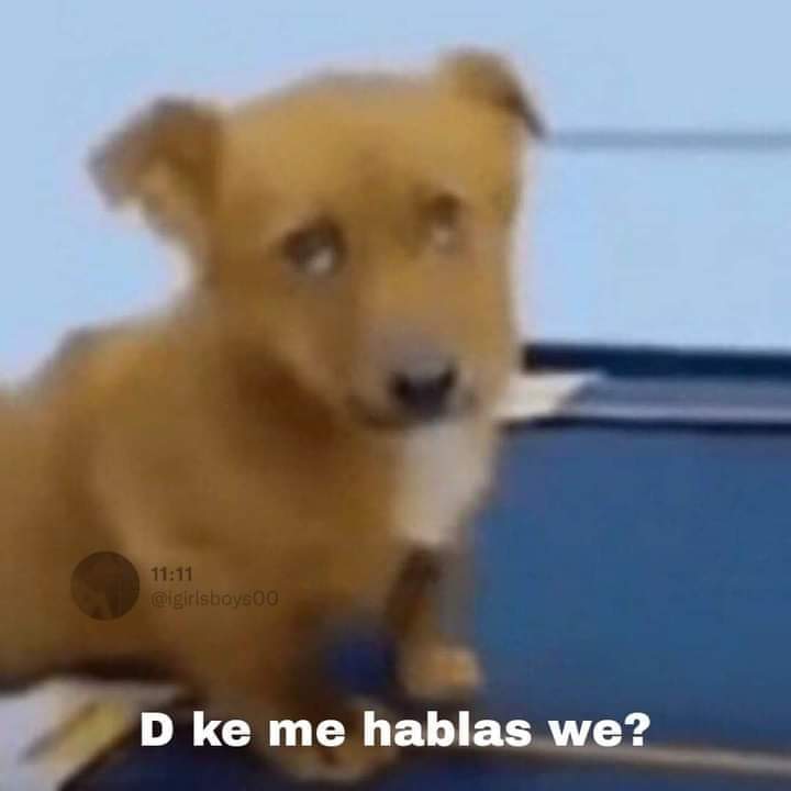 ingeniebrox's tweet photo. *Alguien me pregunta algo básico de Química*
Yo: https://t.co/fh6lbQMmyd