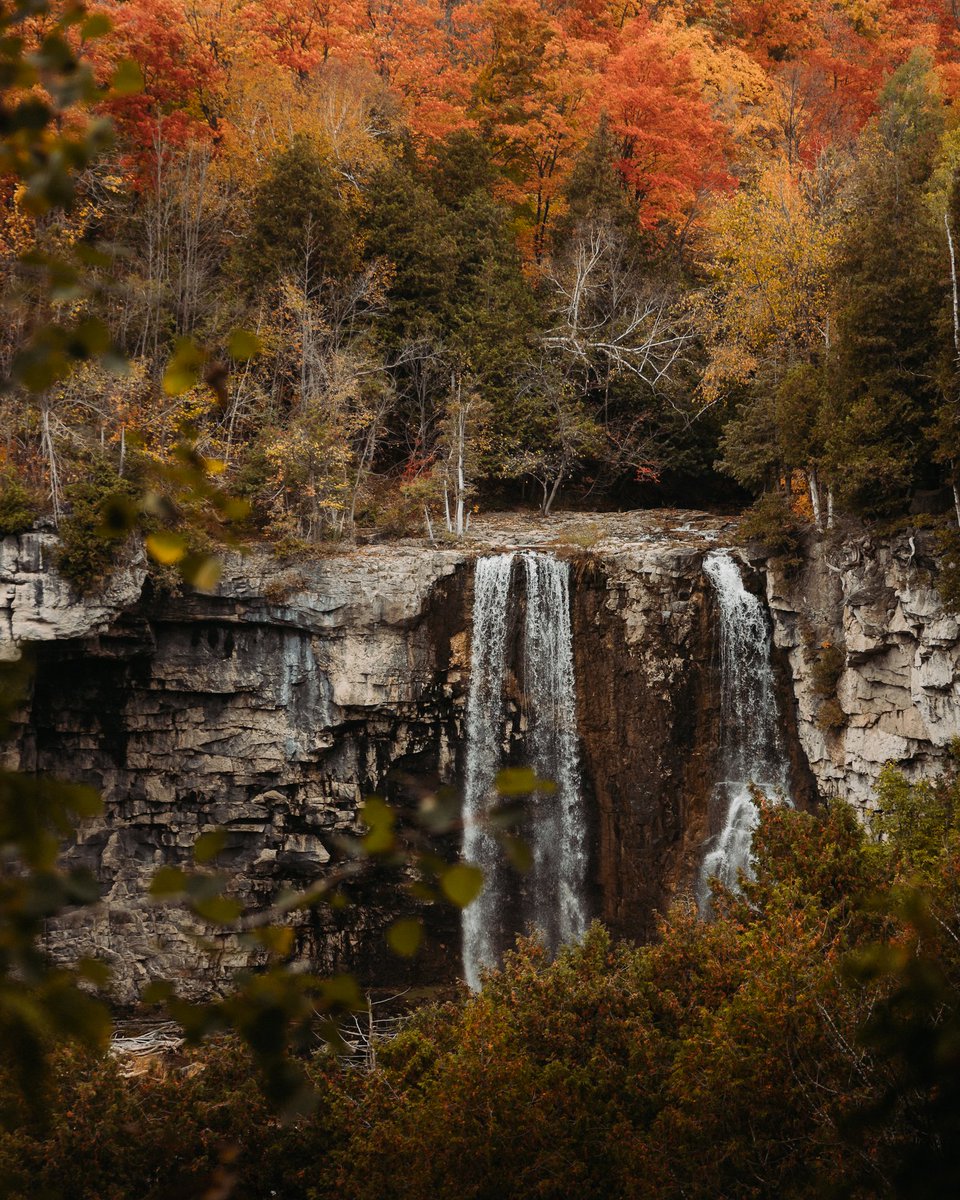 Apple Pie Trail tweet media