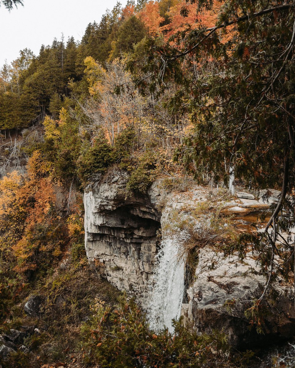There's nothing like Eugenia Falls in autumn 🍂 Don't forget that the #ApplePieTrail is year-round and can guide you through some of the best restaurants, cideries, shops, bakeries and adventures in the region. Visit our website to learn more, or DM us! applepietrail.ca