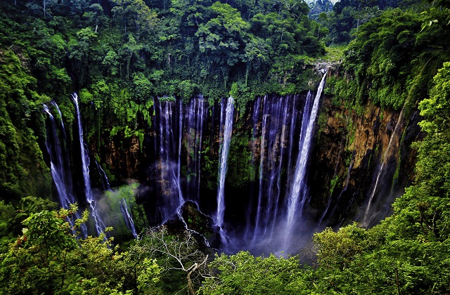 EastJavaTourism's tweet image. East Java has a myriad of natural tourist attractions that are so beautiful and interesting. Especially for those of you who like challenges, Tumpak Sewu Waterfall is suitable to be used as a wishlist for your vacation later.
#TravelToEastJava