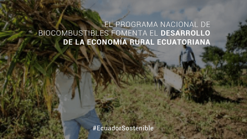 Apale_org's tweet photo. 🚙 🎋La producción de #Biocombustibles en #Ecuador genera más de 200 mil empleos y fomenta el desarrollo económico en las zonas rurales donde se cultiva la caña de azúcar y elabora el #Etanol
#APALE #Ecopaís #EcuadorSostenible https://t.co/p6HYtGdNyb