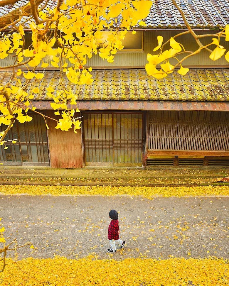 Kvin_1's tweet photo. 일본의 사진작가 Noriyuki Kajiwara의 작품. 이 계절의 아름다움에 어린이들이 함께해서 더욱 포근하다. https://t.co/W7IDT26ABD