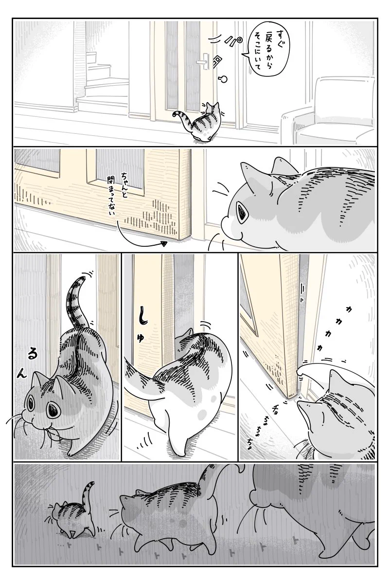 飼い主と片時も離れたくない？ドアをこじ開ける猫ちゃんｗｗ