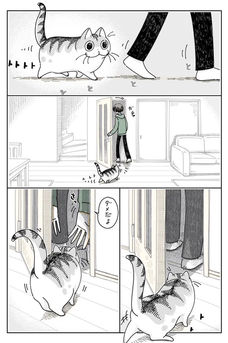 ドアをこじ開けるネコ
https://t.co/8jiQDrNrFi 