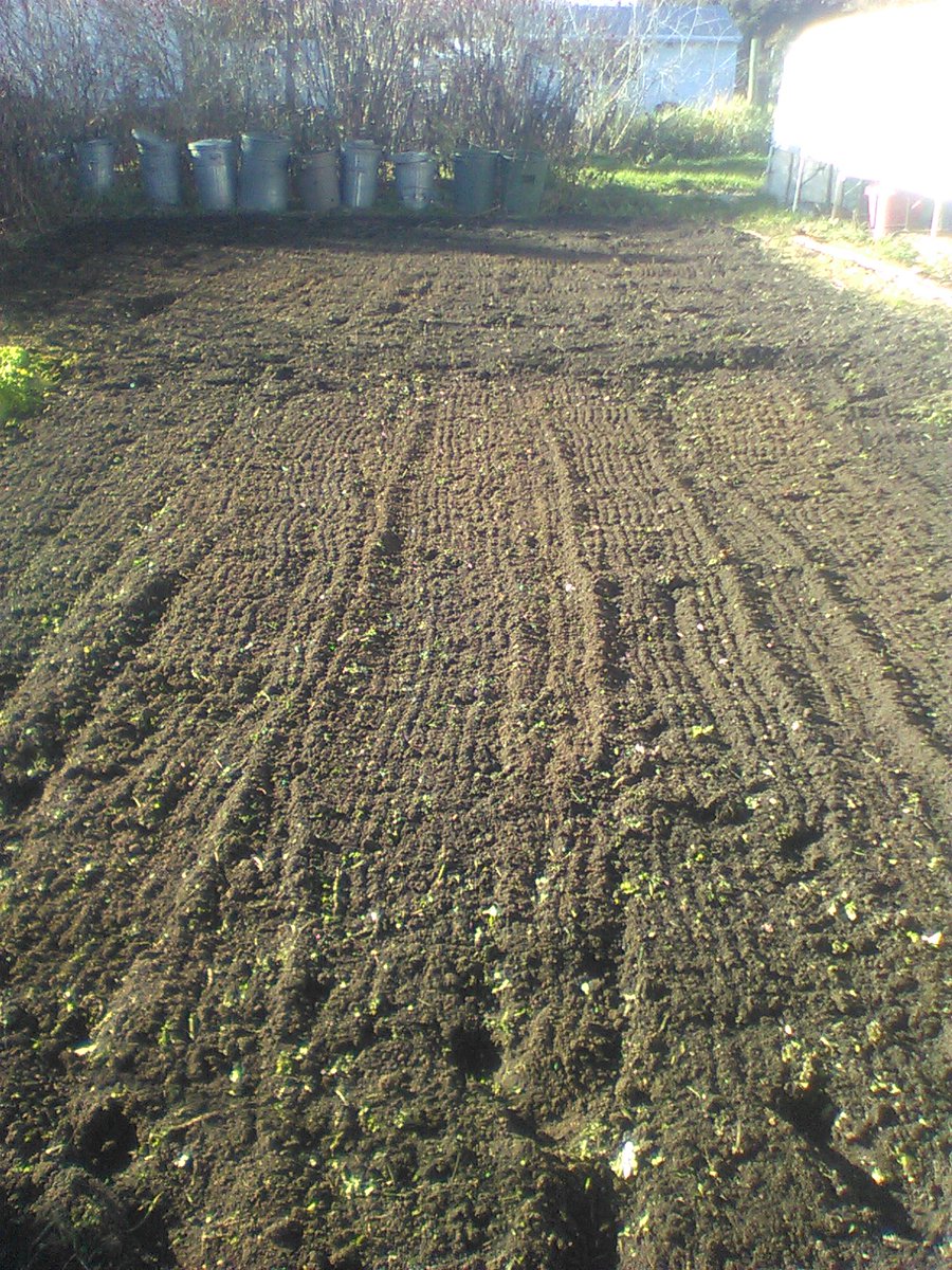 Wally Satzewich tweet media