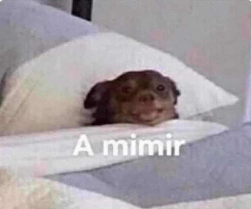 Yo a las 5 de la mañana viendo salir el sol y a los pájaros cantar.