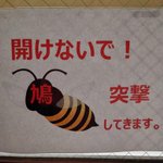 何に注意したらいい？鳩と書かれた蜂の形をした生き物!