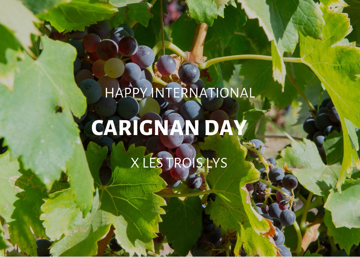 Le Plonque tweet media