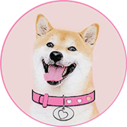 ProphecyOBX's tweet photo. #DogeGF / https://t.co/IRk4SNye6c / #FlyingHigh / #KindGestures @mattygdogegf @hodlnomix @DogeGF_ARMY #RocketFueled GET IN AT THESE PRICES OR GET 2ND TIERED!! https://t.co/AFGTYBgHvy