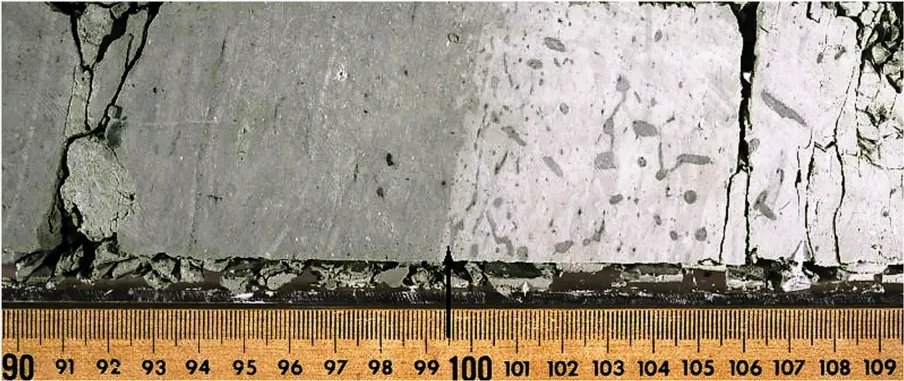 anzic_iodp's tweet photo. 📢Or read how the abrupt change in this #ODP core👇 off shore of #NewZealand records the creation of a passage linking the Indian and Pacific Oceans. 
Carter et al., 1996
#Leg181 #OceanCirculation #SouthernOcean #Nannofossils
https://t.co/O754UbiuEi https://t.co/lnG3AetjUS