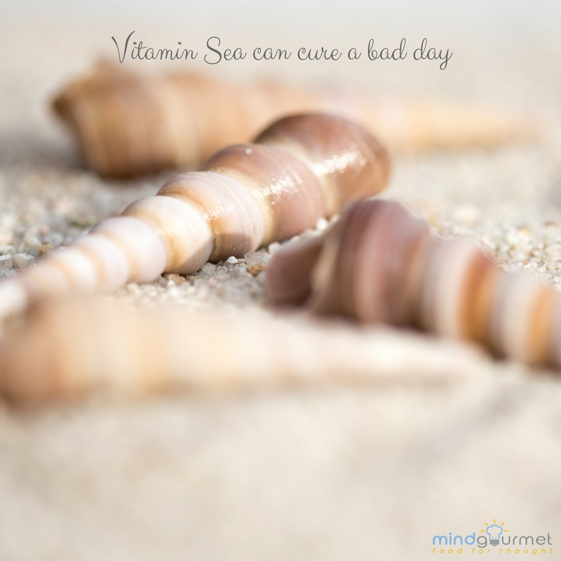 Vitamin Sea can cure a bad day. #sea #badday mindgourmet.com/catch-of-the-d…