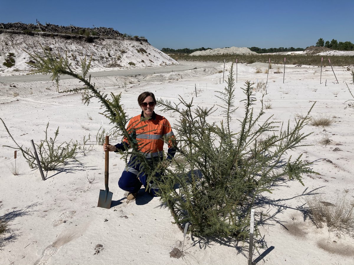 Congratulations to @Vanessa_Brown_s from #KingsParkScience and @BiolSci_UWA on being awarded a Graduate Women WA scholarship! Vanessa's research explores the use of seed enhancement technologies to improve restoration success. Find out more 👉 bit.ly/2XYbYCo