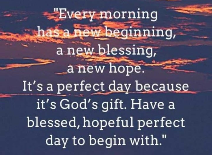 SindhurajMohan6's tweet photo. #Life. https://t.co/dq82bqgouZ