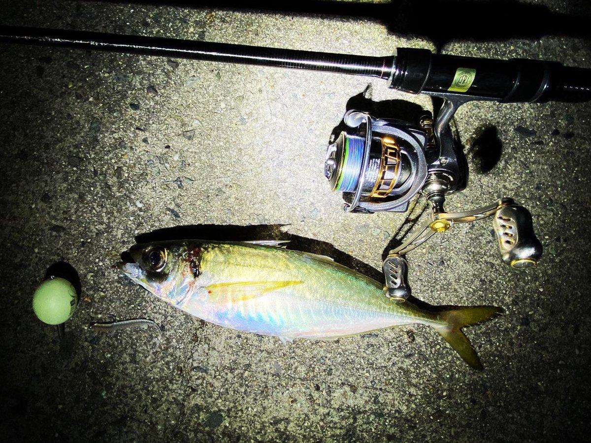wocadaaa's tweet photo. デカフロートアジング。
2つのエリアで尺上🐟
数は釣れずともサイズには満足🎣
#釣り #ルアー #ライトゲーム #アジング #土肥富 #レンジクロスフックgiga #reins #アジアダープロ #アルカジックジャパン #シャローフリーク #luxxe #宵姫華 #宵姫華82h #livre #wing92 #ハピソン #チェストライト https://t.co/twIu0Oh53u