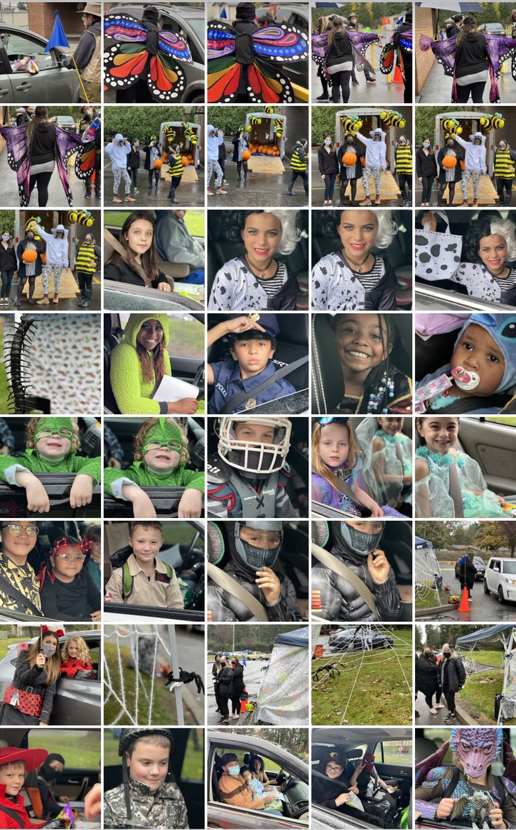 RRE is at it again! Over 300 people came to “Creepy Crawl”  hosted by our staff! Great way to learn about science and build community at the same time!