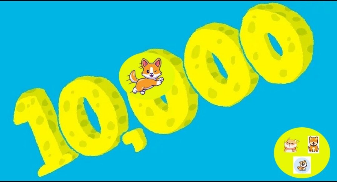 realhinainu's tweet photo. Dear Community,

We have crossed 10,000 + Twitter Followers! We truly want to thank your commitment and strength provided to Hina and the Pack Vision.

There's N.O. Stopping us! 💪📈

-------------------------------------

#CryptoNews #cryptocurrencies #token #Ethereum #eth #coin https://t.co/pnBrNOCEPM