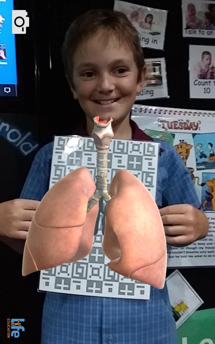 MsCieslak's tweet photo. When we visited the Life Education Van yesterday, we got to see inside our bodies. Harold taught us how to be safe and healthy. https://t.co/R0hePoS820