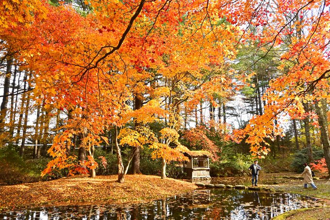 帯広 紅葉のおすすめスポット 真鍋庭園 グランピングリゾート フェーリエンドルフ 公式ブログ