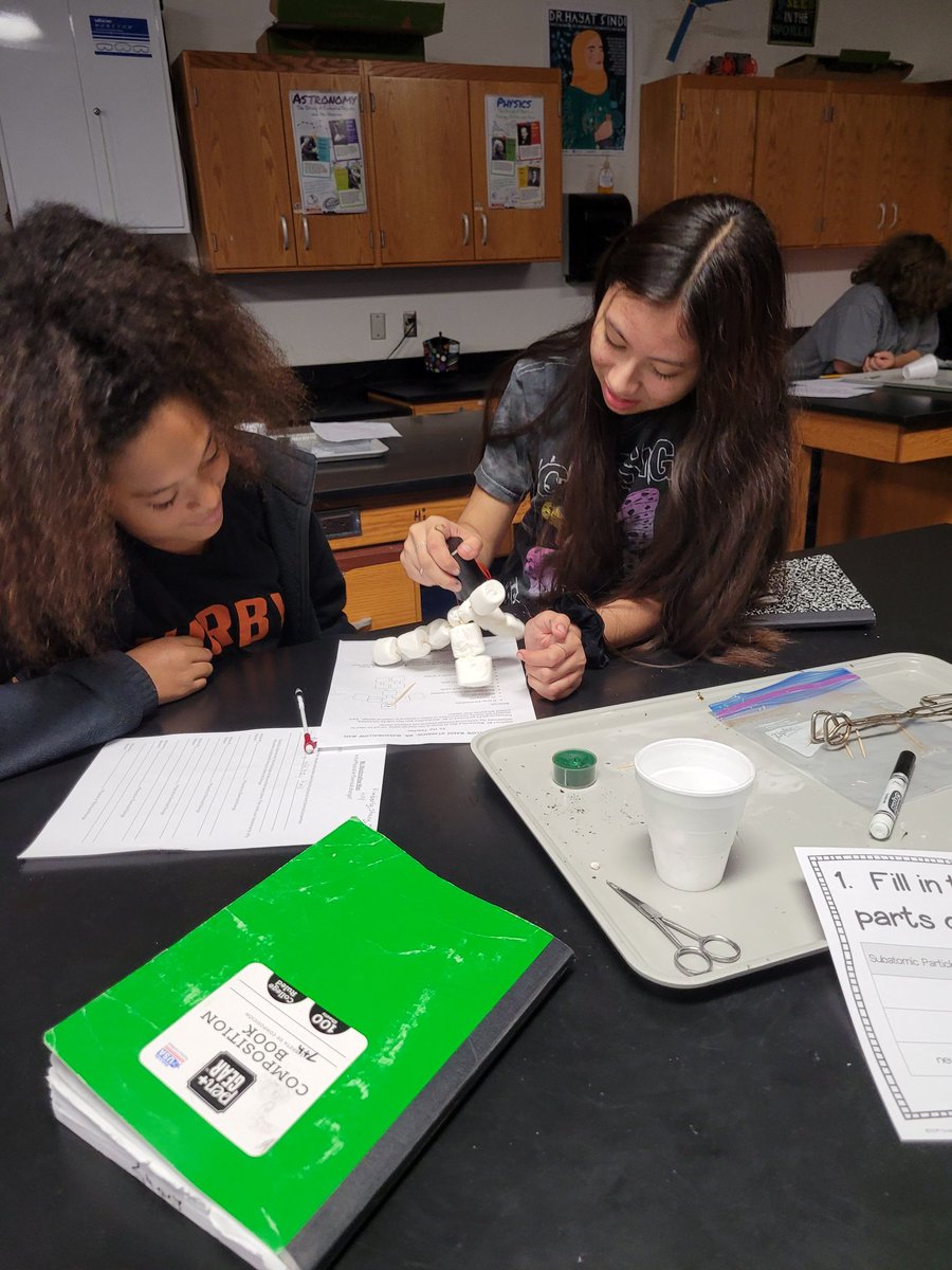 Ms D's Science Zone tweet media
